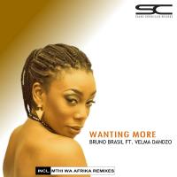 Artwork for Wanting More (Incl. Mthi Wa Afrika Remix) (feat. Velma Dandzo) by Bruno Brasil