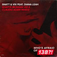 Snatt & Vix