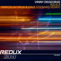 Artwork for Aquila (Miroslav Vrlik & Dave Steward Remixes) by Vinny DeGeorge