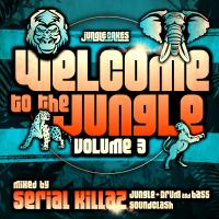 Artwork for Welcome To The Jungle, Vol. 3: The Ultimate Jungle Cakes Drum & Bass Compilation by Various Artists