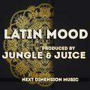 Artwork for Latin Mood