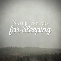 Artwork for Nature Sounds for Sleeping by Nature Sounds For Sleep and Relaxation