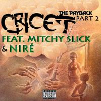 Artwork for The Payback, Pt. 2 (feat. Mitchy Slick & Niré) by Cricet