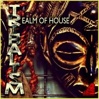 Artwork for Tribalism by Realm of House