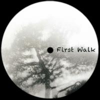 Artwork for First Walk by Gurman