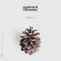 Artwork for Remedy by Gabriel & Dresden