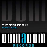 Artwork for The Best Of Dum, Pt. 1 by Various Artists