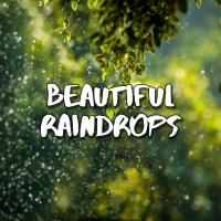 Artwork for Beautiful Raindrops by Rain Sounds