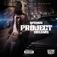 Artwork for Project Dreams by Springz