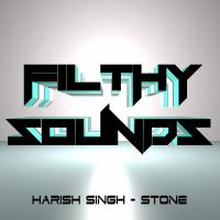 Artwork for Stone by Harish Singh