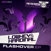 Artwork for Flashover EP by Lowkey