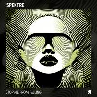 Artwork for Stop Me From Falling by Spektre