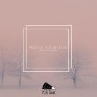 Artwork for Winter Collection by Various Artists