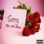 Artwork for Sorry