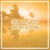 Artwork for Relax Sleep Meditation by YOGA