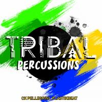 Artwork for Tribal Percussions by Plastikbeat