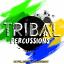 Artwork for Tribal Percussions (Original Mix)
