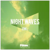 Artwork for Night Waves by OWL.