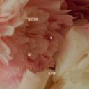 Artwork for Something In The Heavens