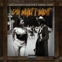 Artwork for Do What I Want (feat. Diego Redd & Bankroll Raedoe) by Shake Da Mayor