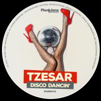 Artwork for Disco Dancin' by Tzesar