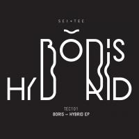 Artwork for Hybrid EP by DJ Boris