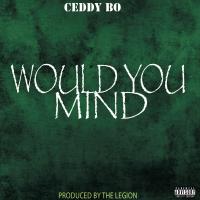 Artwork for Would You Mind by Ceddy Bo