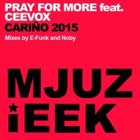 Artwork for Cariño 2015 (Remixes) by Pray For More