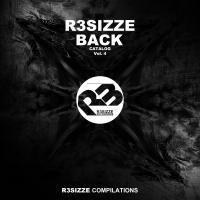 Artwork for R3sizze Back Catalog, Vol. 4 by Various Artists