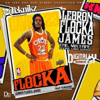 Artwork for LeBron Flocka James 1 by Waka Flocka Flame