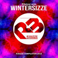 Artwork for R3sizzer pres. Wintersizze by Various Artists