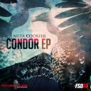 Artwork for Condor