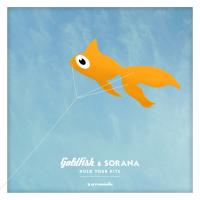 Artwork for Hold Your Kite by GoldFish