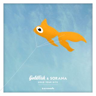 Artwork for Hold Your Kite