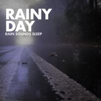 Artwork for Rainy Day by Rain Sounds Sleep