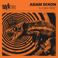 Artwork for U Can Hide by Adam Dixon