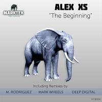 Artwork for The Beginning by Alex Xs