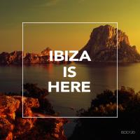 Artwork for Ibiza Is Here by Various Artists