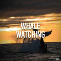 Artwork for Whale Watching by Whale Sounds