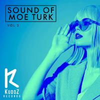 Artwork for Sound Of Moe Turk, Vol. 2 by Moe Turk