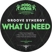 Artwork for What U Need by Groove Synergy