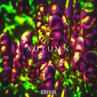 Artwork for A U T U M N by AN:TI