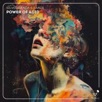 Artwork for Power of Acid by Silver Panda