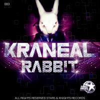 Artwork for Rabbit by Kraneal