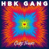 Artwork for Gang Forever by HBK Gang