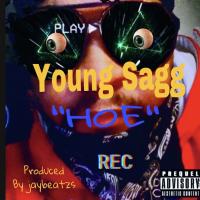 Artwork for Hoe by Young Sagg