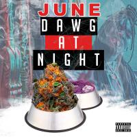 Artwork for Dawg at Night by JUNE!