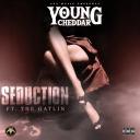 Artwork for Seduction (feat. The Gatlin)