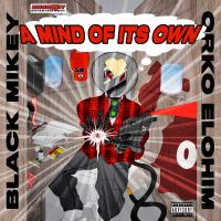 Artwork for A Mind Of It's Own (feat. Orko Elohim) by Black Mikey