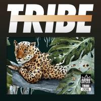 Artwork for Tribe, Vol. 06 by Various Artists